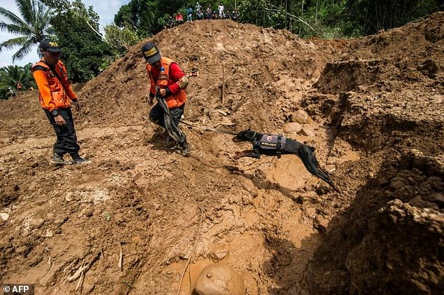Dua Tewas dan 26 Hilang Akibat Tanah Longsor di Ponorogo
